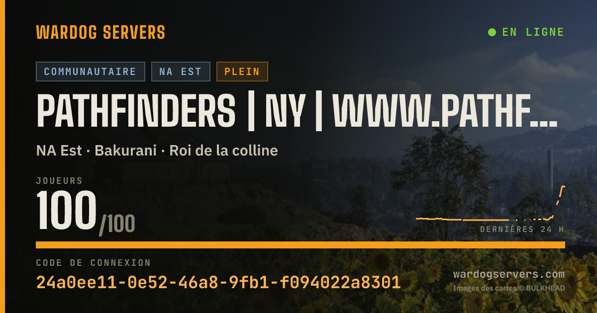 Bannière d’état en direct de Pathfinders | NY | www.pathfindershq.org