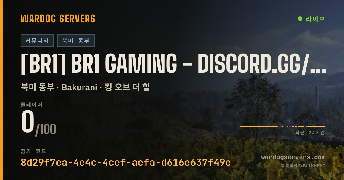 [BR1] BR1 Gaming - discord.gg/BR1 실시간 상태 배너