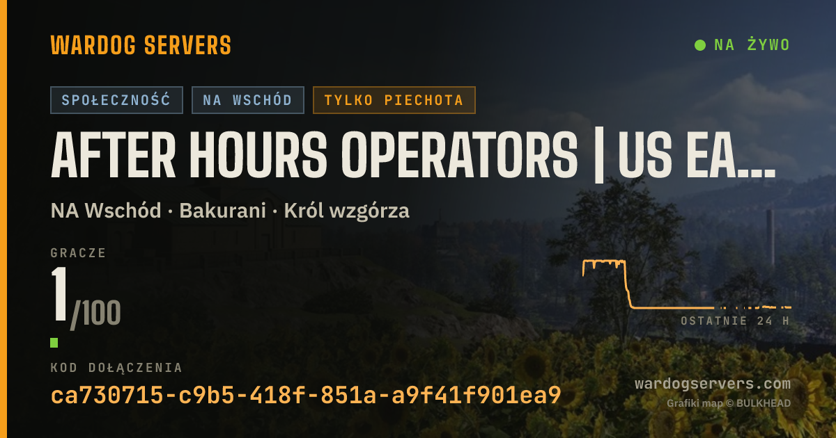 Baner ze statusem na żywo: AFTER HOURS OPERATORS | US EAST | All Maps | DISCORD.GG/AHO