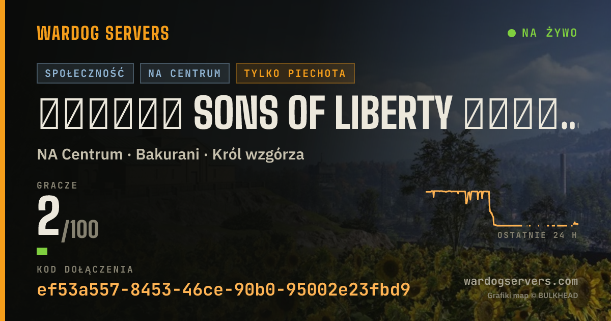 Baner ze statusem na żywo: ▁▂▃▅▆▇ SONS OF LIBERTY ▇▆▅▃▂▁ 50v50 Infantry Auto200+PingKick