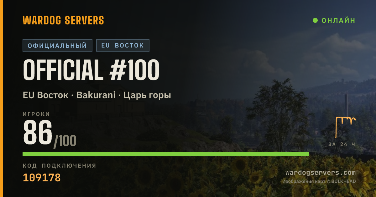 Баннер статуса сервера Official #100