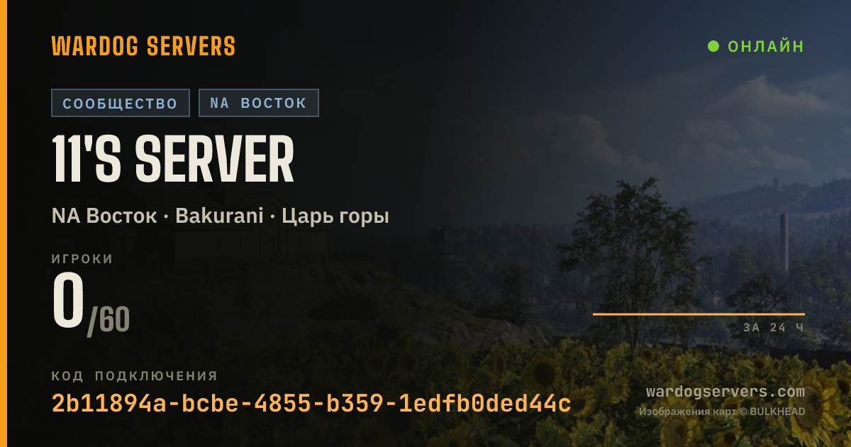 Баннер статуса сервера 11's server