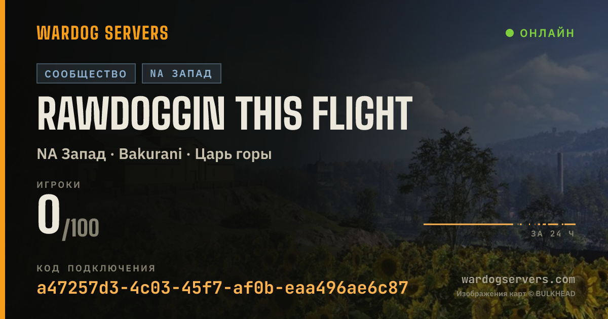 Баннер статуса сервера rawdoggin this flight