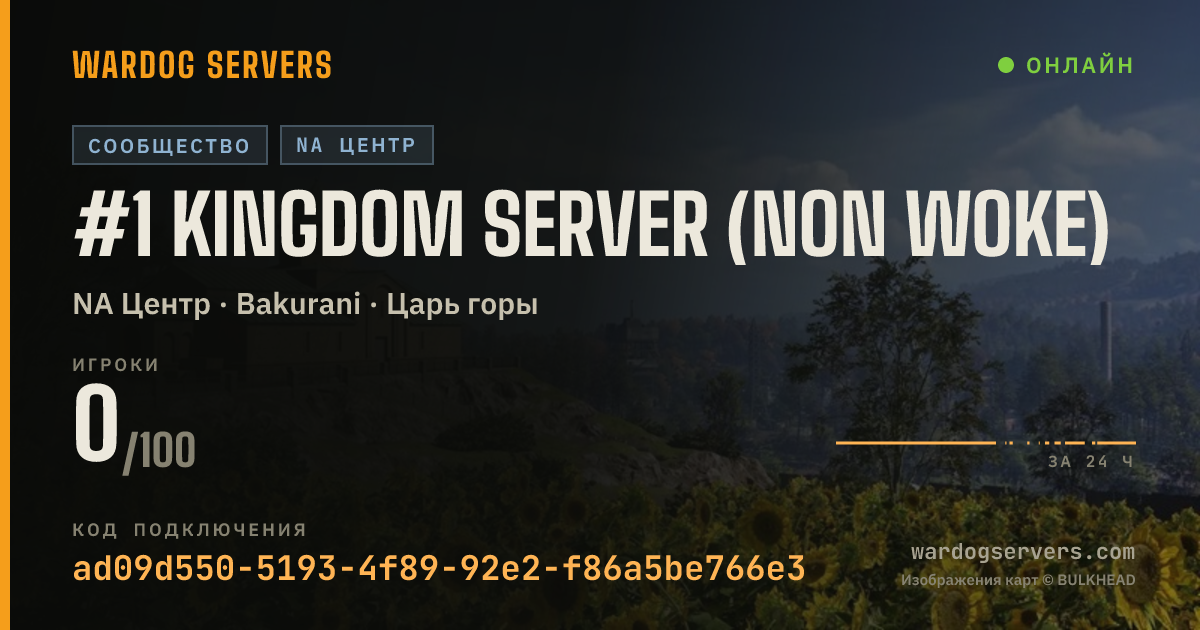 Баннер статуса сервера #1 Kingdom Server (Non Woke)