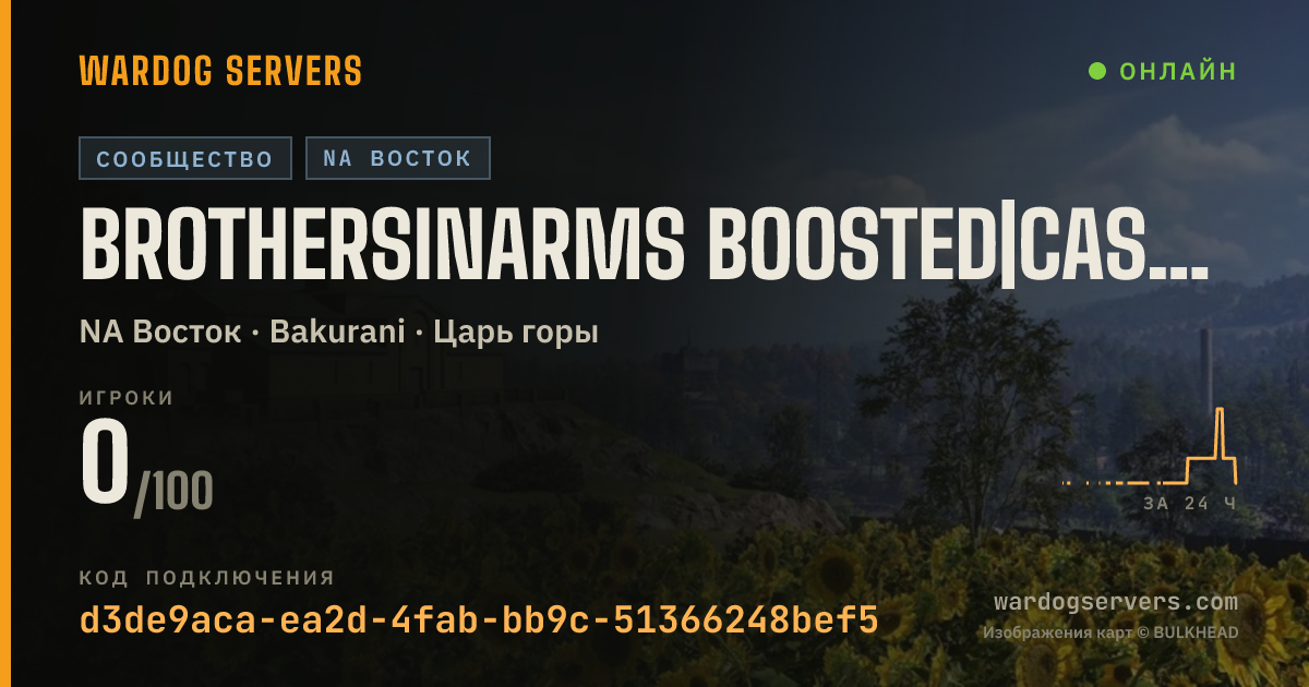 Баннер статуса сервера BrothersInArms Boosted|Cash/XP|NO RAIN