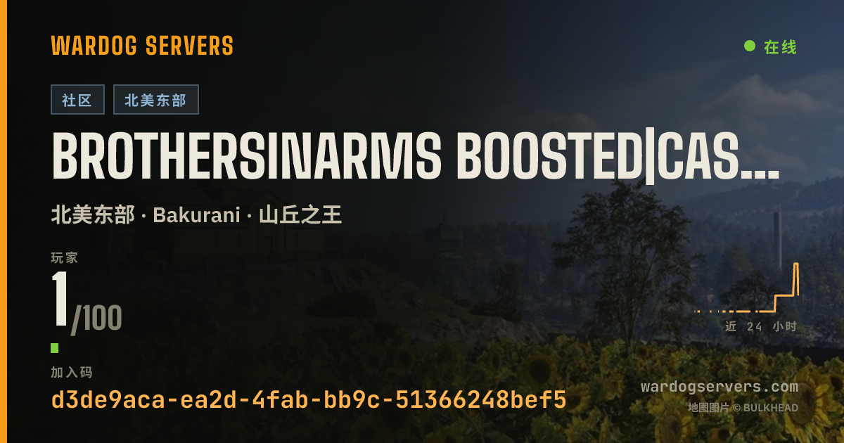 BrothersInArms Boosted|Cash/XP|NO RAIN 的实时状态横幅