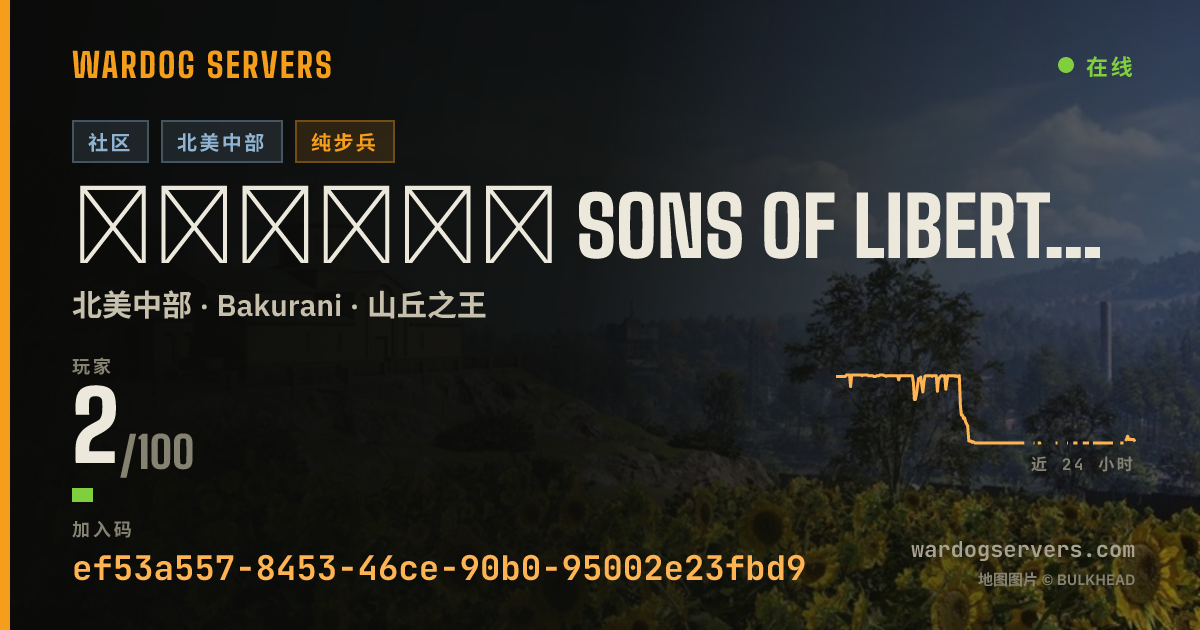 ▁▂▃▅▆▇ SONS OF LIBERTY ▇▆▅▃▂▁ 50v50 Infantry Auto200+PingKick 的实时状态横幅